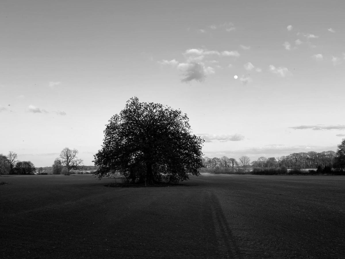 Wildes Inns Chesterfield Extérieur photo